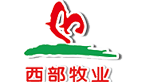新疆西部牧業